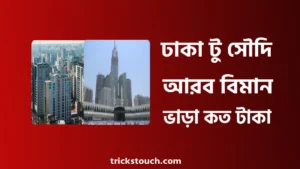 ঢাকা টু সৌদি আরব বিমান ভাড়া কত ২০২৫ ঢাকা টু সৌদি আরব বিমান ভাড়া কত ২০২৫