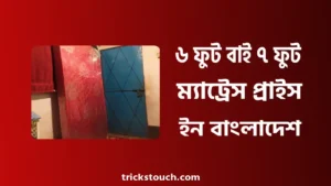 ৬ ফুট বাই ৭ ফুট ম্যাট্রেস প্রাইস ইন বাংলাদেশ ৬ ফুট বাই ৭ ফুট ম্যাট্রেস প্রাইস ইন বাংলাদেশ