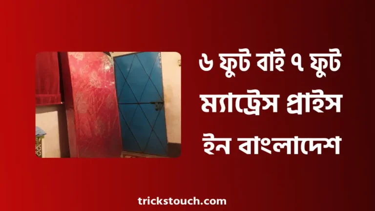৬ ফুট বাই ৭ ফুট ম্যাট্রেস প্রাইস ইন বাংলাদেশ