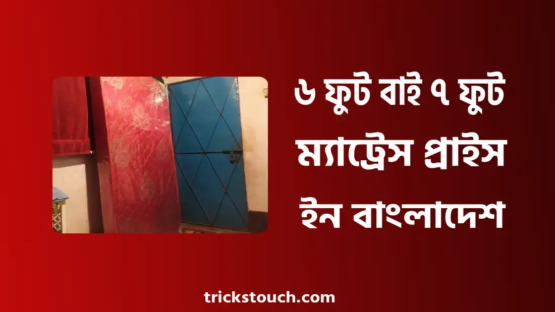 ৬ ফুট বাই ৭ ফুট ম্যাট্রেস প্রাইস ইন বাংলাদেশ